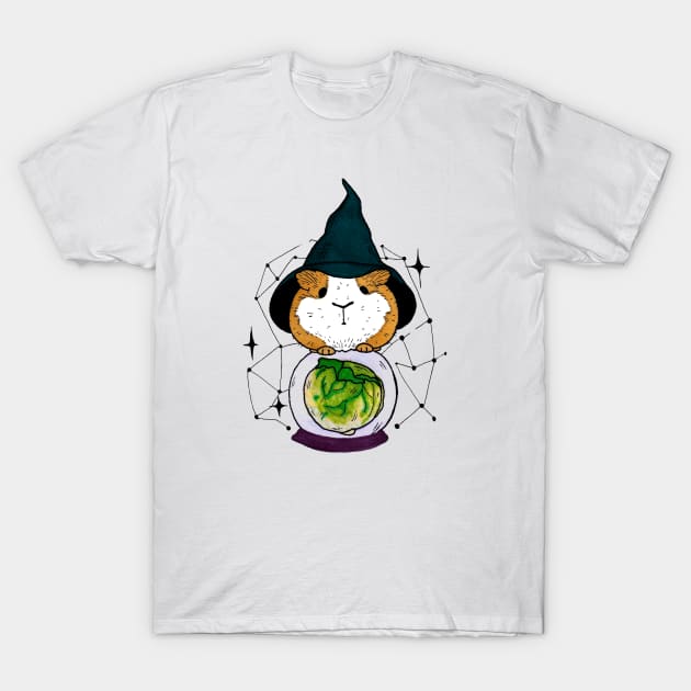 Wizard guinea pig T-Shirt by Biscuit